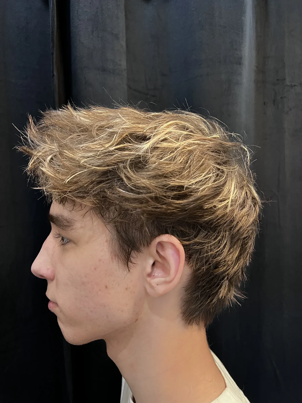 Men's highlights on a short mod haircut with textured fringe at The Gilded Edge, West Seattle salon
