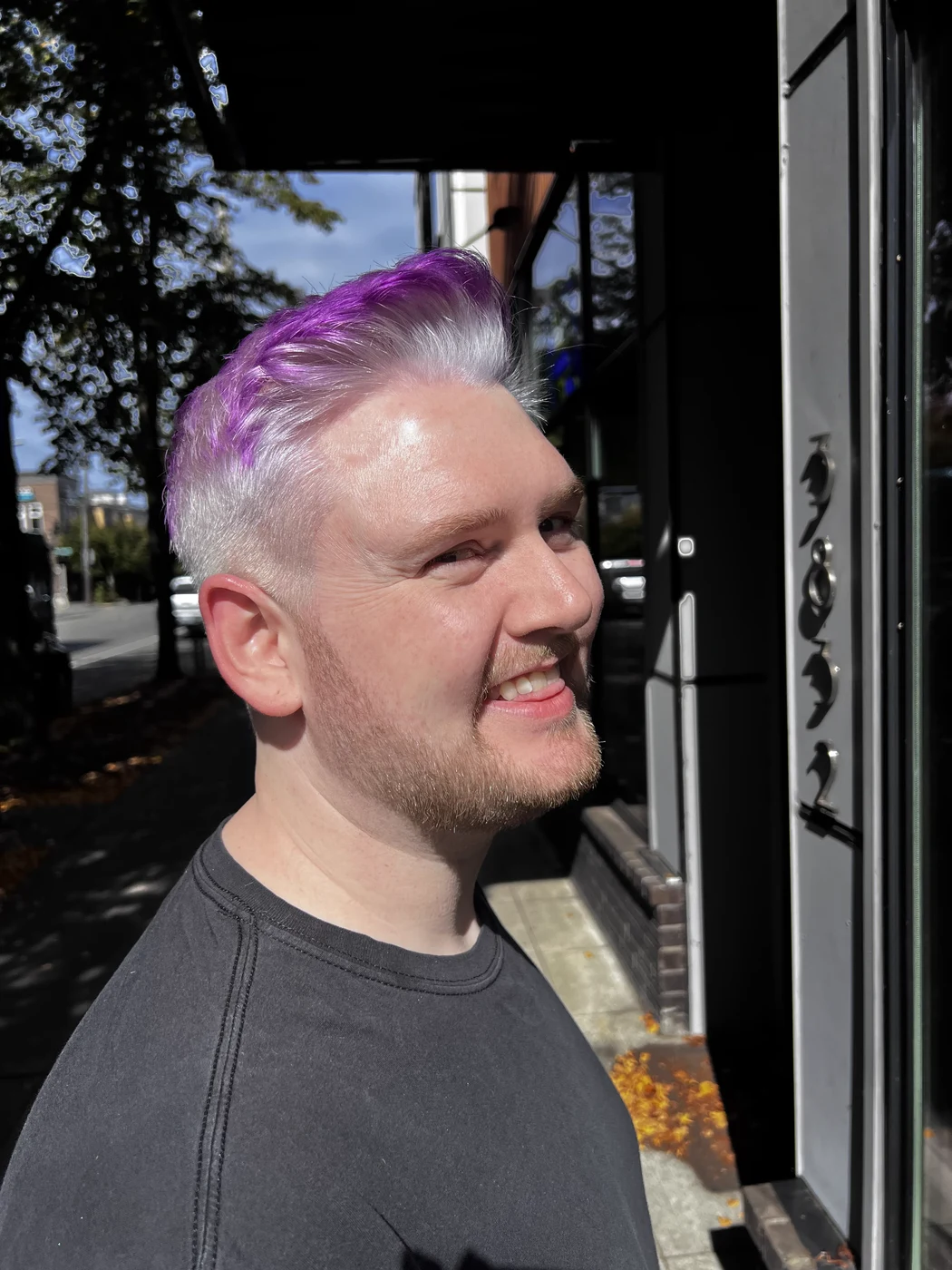 Vivid purple and silver buzz cut, bold color service West Seattle